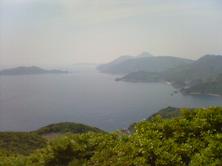 ビューポイント